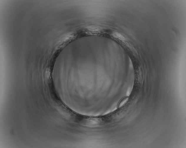 X0000113250711200910011346