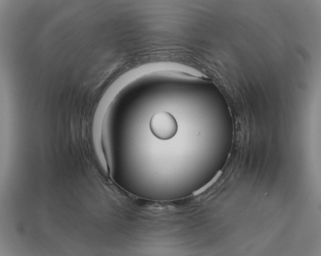 X0000113250712200910011346