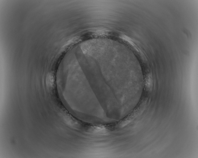 X0000113250715200910011346