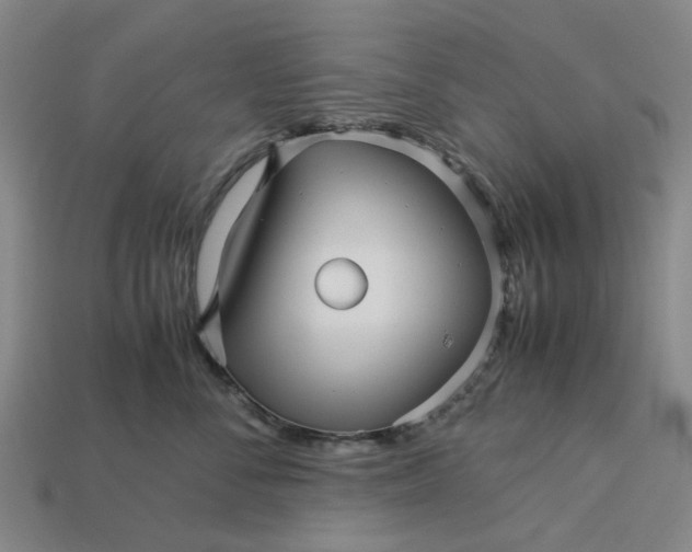 X0000113250716200910011346