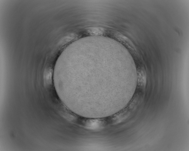 X0000113250717200910011346