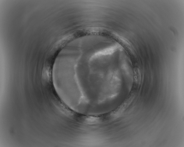 X0000113250718200910011346