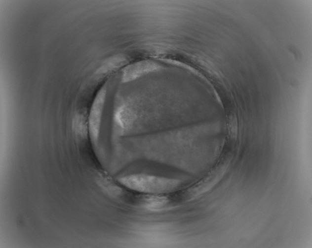 X0000113250719200910011346