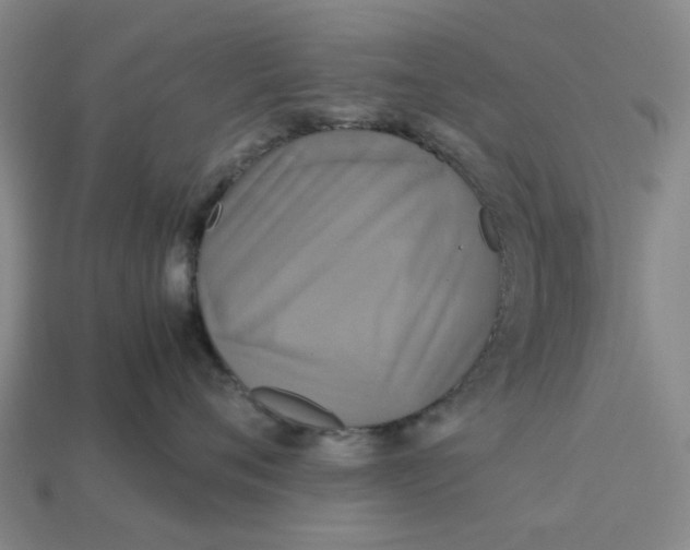 X0000113250720200910011346