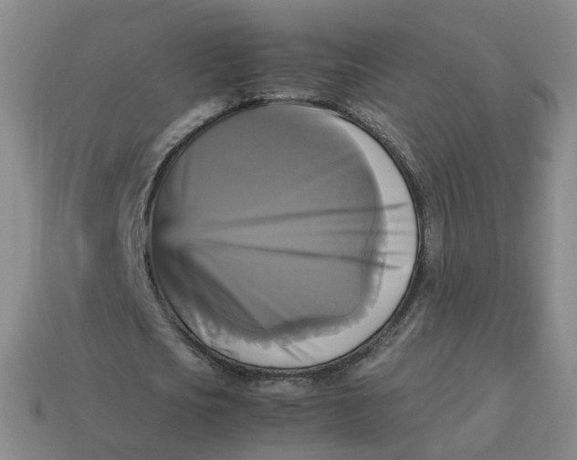 X0000113250721200910011345