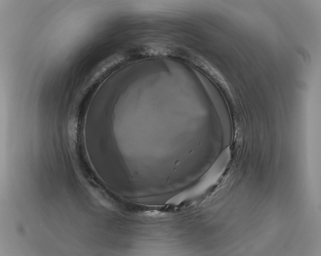 X0000113250722200910011345