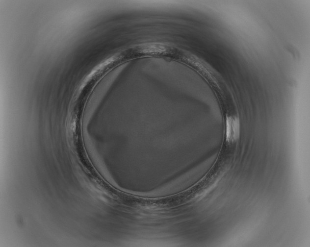 X0000113250723200910011345