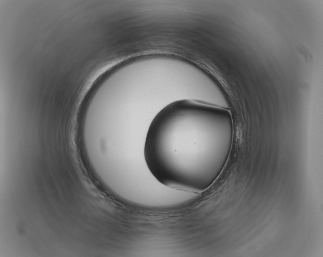 X0000113250724200910011345