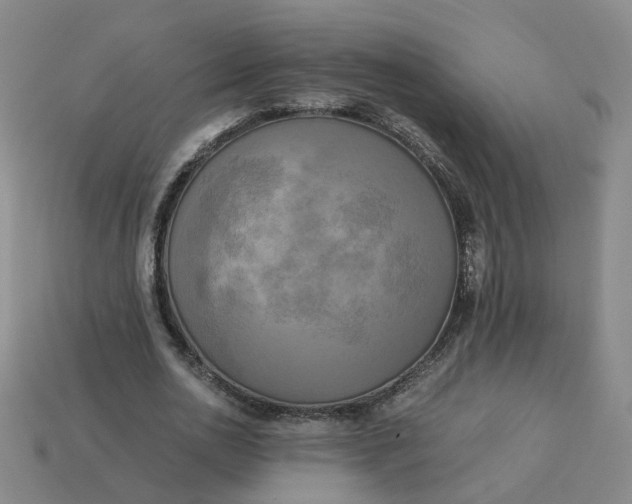 X0000113250726200910011345