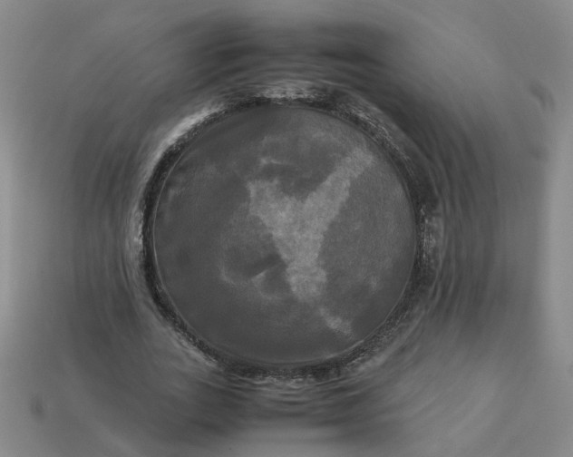 X0000113250727200910011345