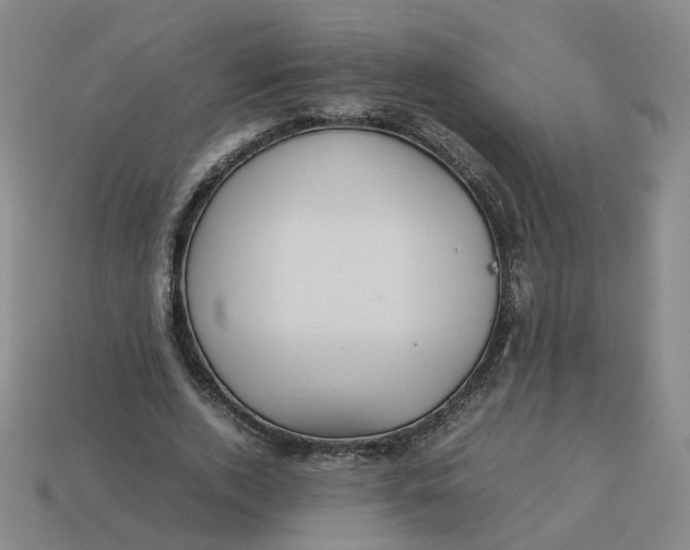 X0000113250728200910011345