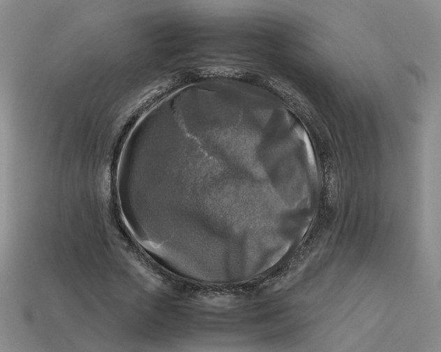 X0000113250729200910011345