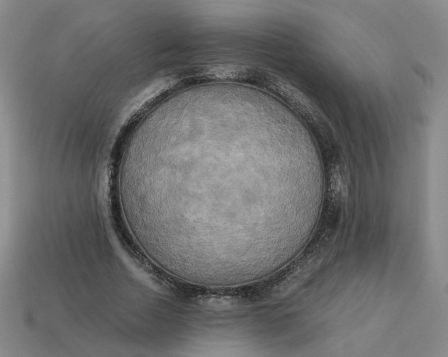 X0000113250730200910011345