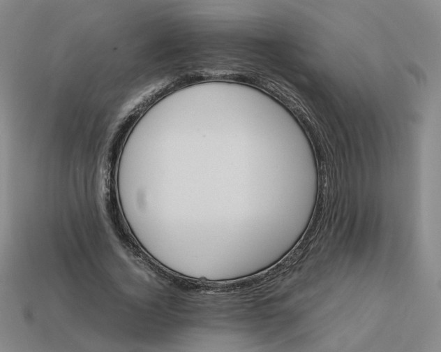 X0000113250732200910011345