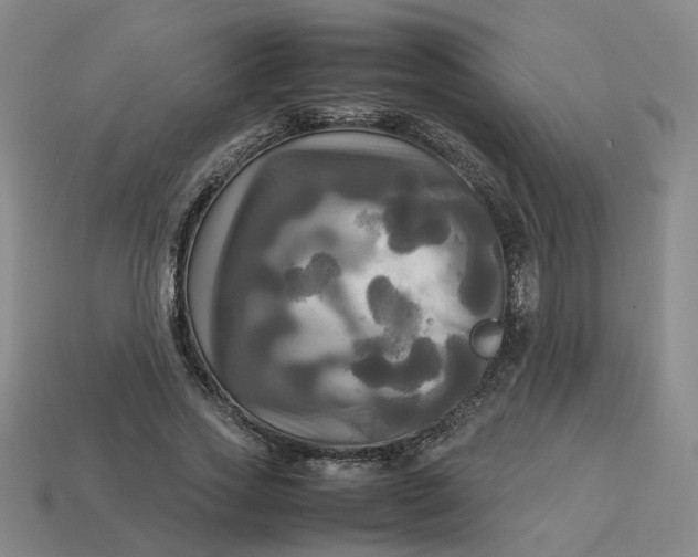 X0000113250733200910011346