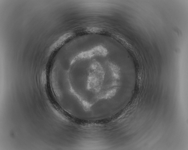 X0000113250734200910011346