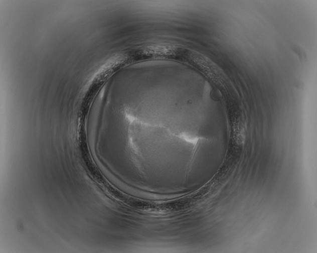 X0000113250735200910011346