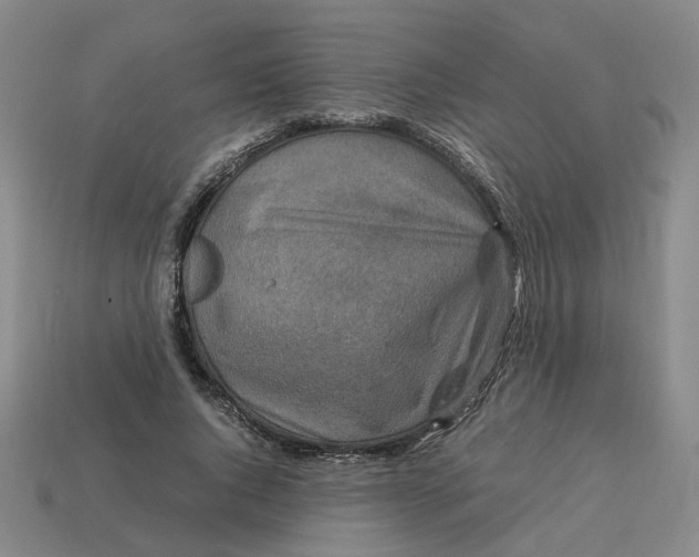 X0000113250736200910011346