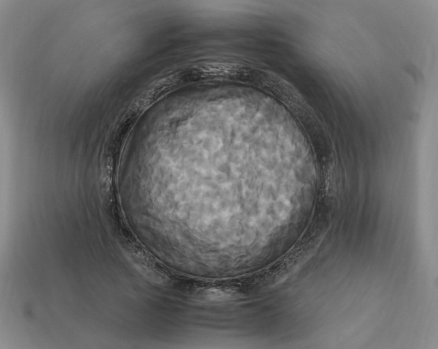 X0000113250737200910011346