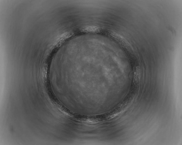 X0000113250739200910011346