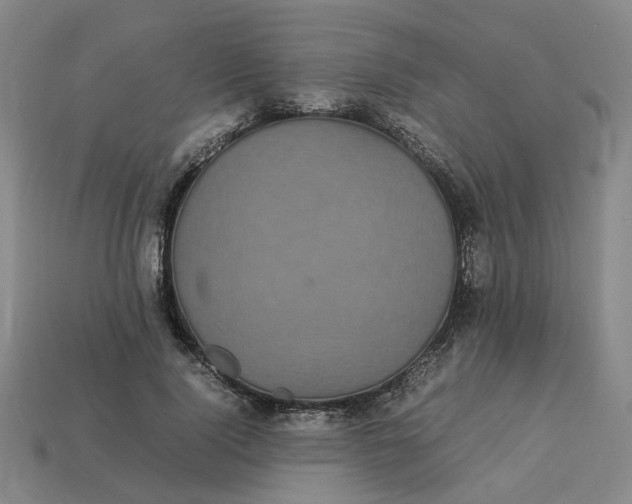 X0000113250740200910011346