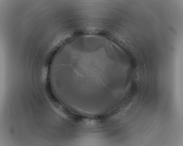 X0000113250742200910011346