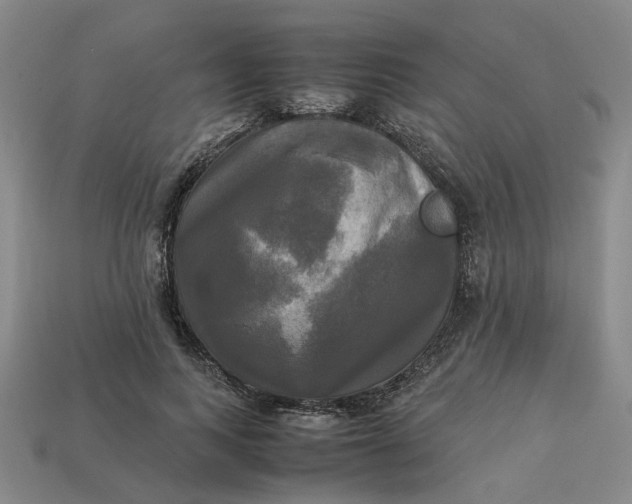 X0000113250743200910011346