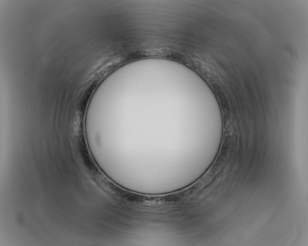 X0000113250744200910011346