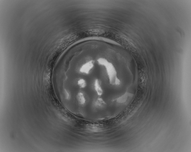 X0000113250745200910011346