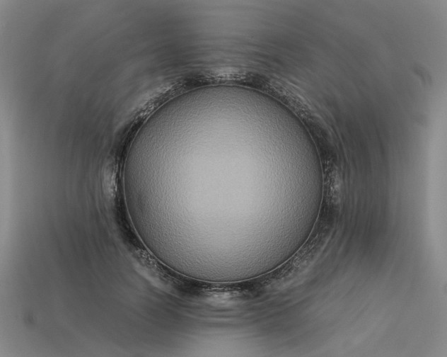 X0000113250746200910011346