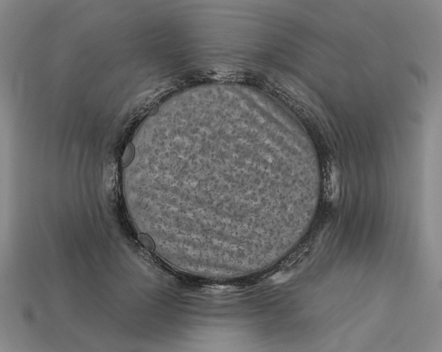 X0000113250748200910011346