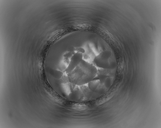 X0000113250749200910011346