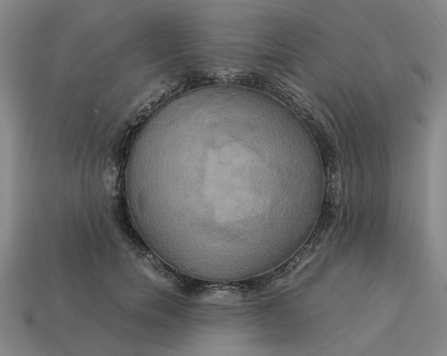 X0000113250750200910011346