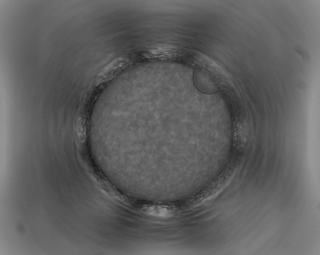 X0000113250751200910011346