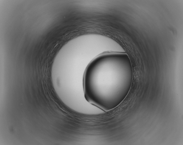 X0000113250752200910011346