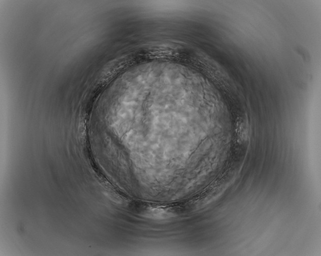 X0000113250753200910011346