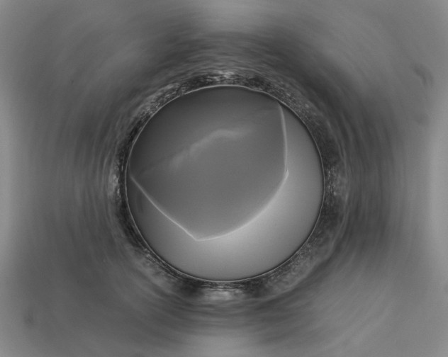 X0000113250754200910011346