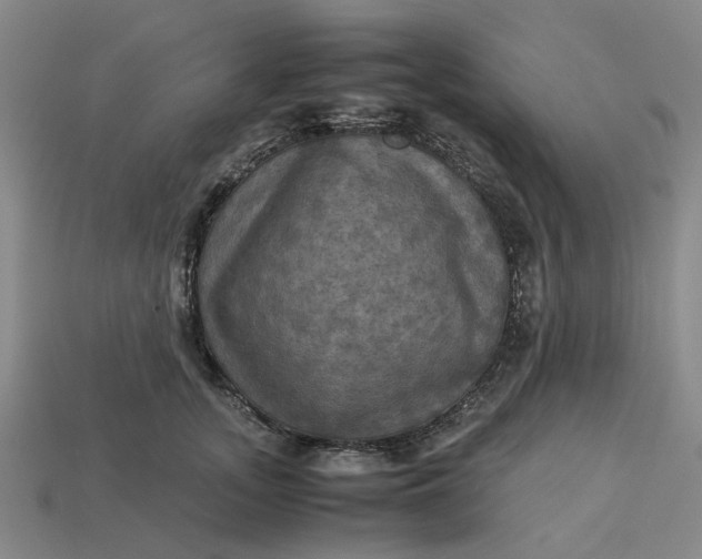 X0000113250755200910011346