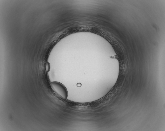 X0000113250756200910011346