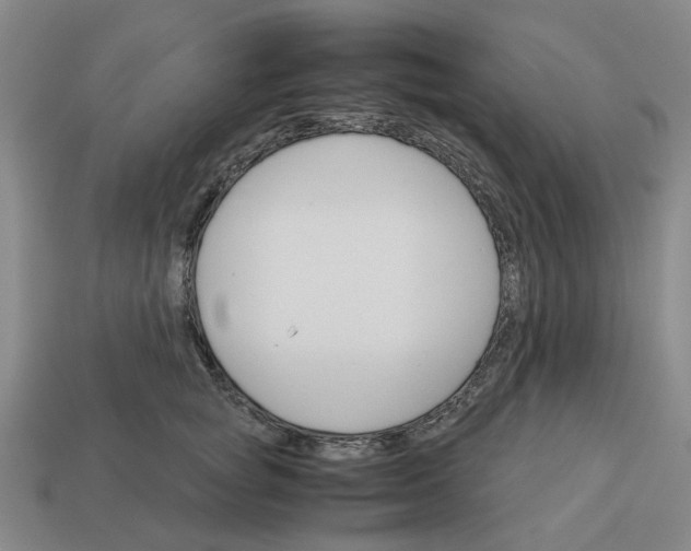 X0000113250757200910011346