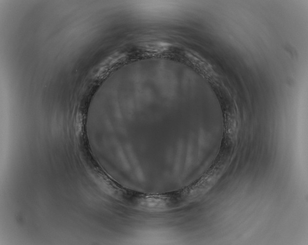 X0000113250758200910011346