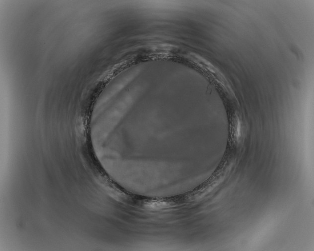 X0000113250759200910011346