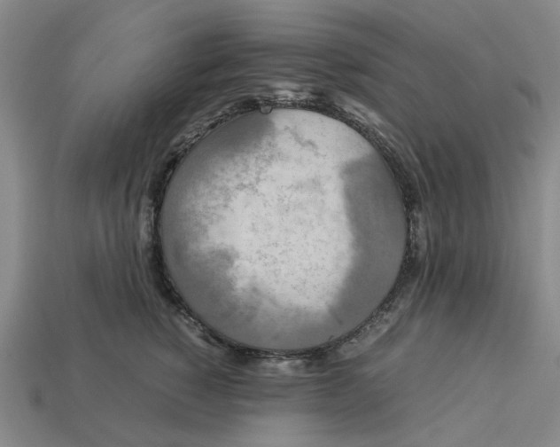 X0000113250760200910011346