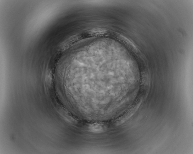 X0000113250761200910011346