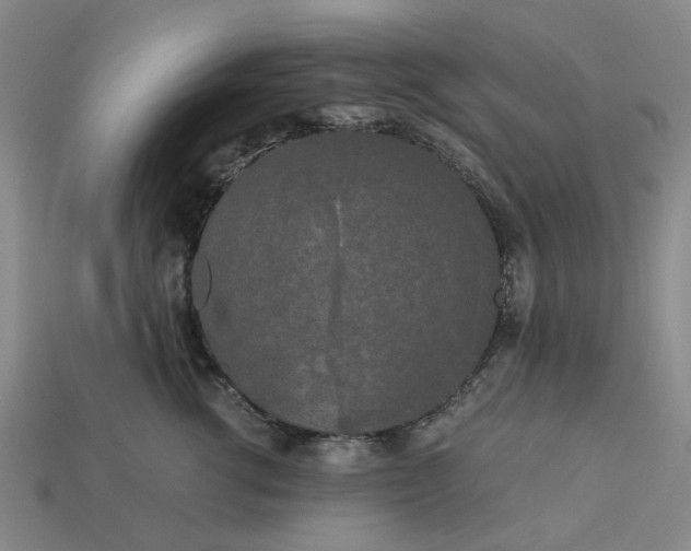 X0000113250762200910011346