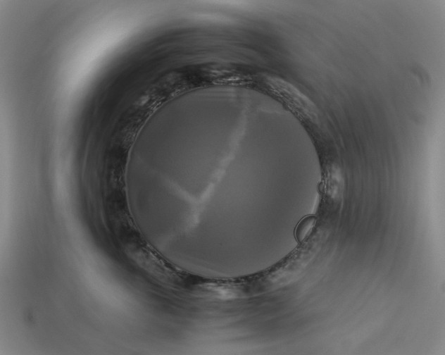 X0000113250763200910011346