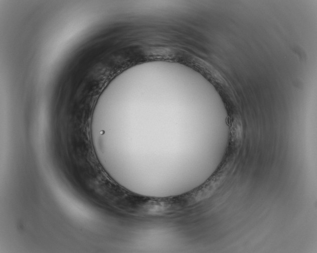 X0000113250764200910011346