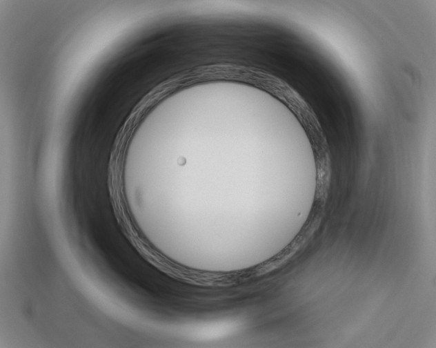 X0000113250765200910011346