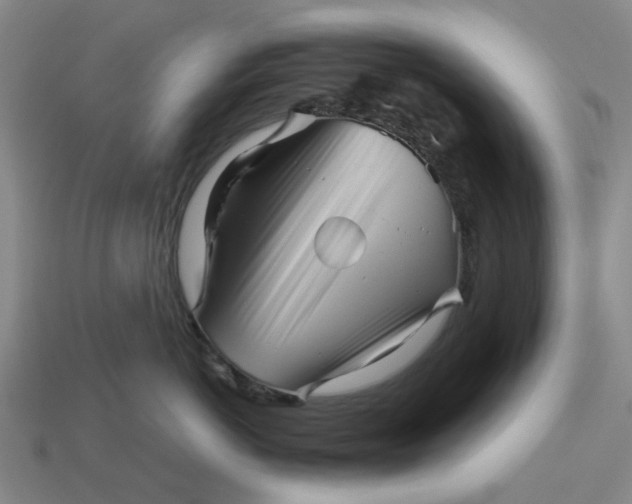 X0000113250766200910011346