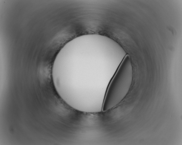 X0000113250768200910011346